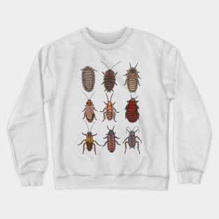 Cockroach pattern Crewneck Sweatshirt